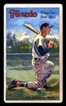 Helmar Polar Night #236 Ted WILLIAMS Boston Red Sox HOF