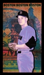 This Great Game 1960s #54 Lee Stange Boston Red Sox