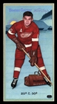 Hockey Icers #29 Alex DELVECCHIO Detroit Red Wings HOF